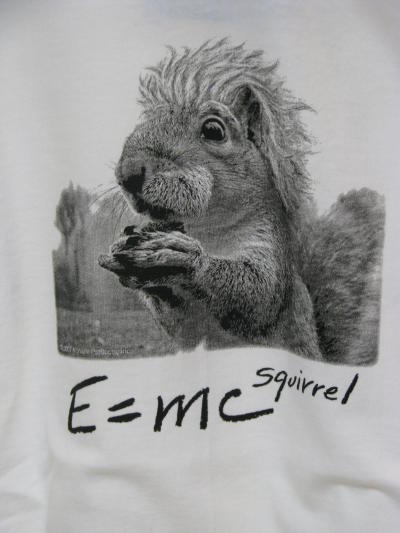 Squirrel tshirt