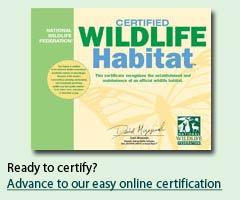 NWF Habitat