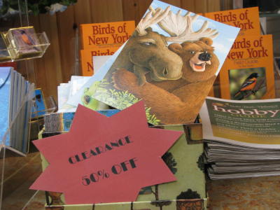 Bear Cards