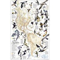 Migration poster