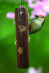 Recycled Log Feeder